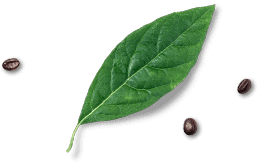 home_goodfood_footer_sep